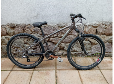 Bicicleta SH SKARPEA 26