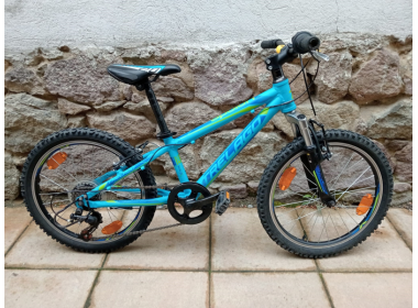 Bicicleta de copii folosit TRELAGO 20